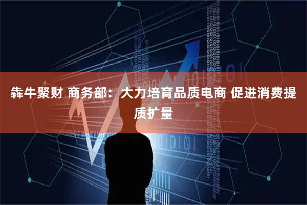 犇牛聚财 商务部：大力培育品质电商 促进消费提质扩量