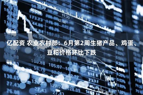 亿配资 农业农村部：6月第2周生猪产品、鸡蛋、豆粕价格环比下跌