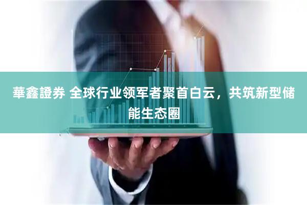 華鑫證券 全球行业领军者聚首白云，共筑新型储能生态圈