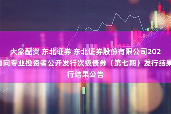 大象配资 东北证券 东北证券股份有限公司2025年面向专业投资者公开发行次级债券（第七期）发行结果公告