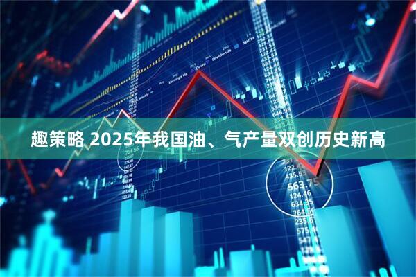 趣策略 2025年我国油、气产量双创历史新高