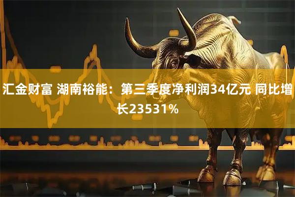 汇金财富 湖南裕能：第三季度净利润34亿元 同比增长23531%