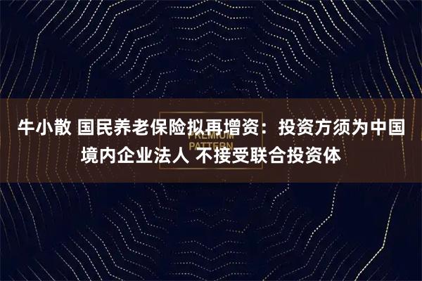 牛小散 国民养老保险拟再增资：投资方须为中国境内企业法人 不接受联合投资体