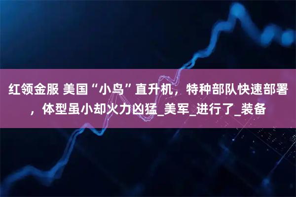 红领金服 美国“小鸟”直升机，特种部队快速部署，体型虽小却火力凶猛_美军_进行了_装备