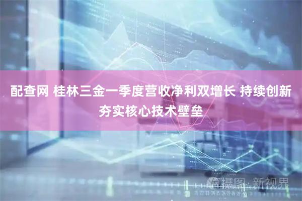 配查网 桂林三金一季度营收净利双增长 持续创新夯实核心技术壁垒